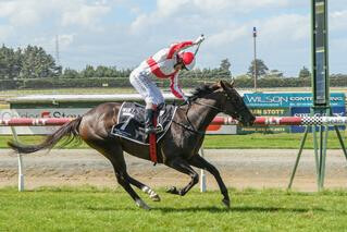 Global Thinking adds a Listed win to her successful South Island sojourn. Photo: Wild Range Photography